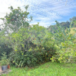 Sítio à venda com 3 quartos, sendo 1 suíte, no Centro, Guararema, SP