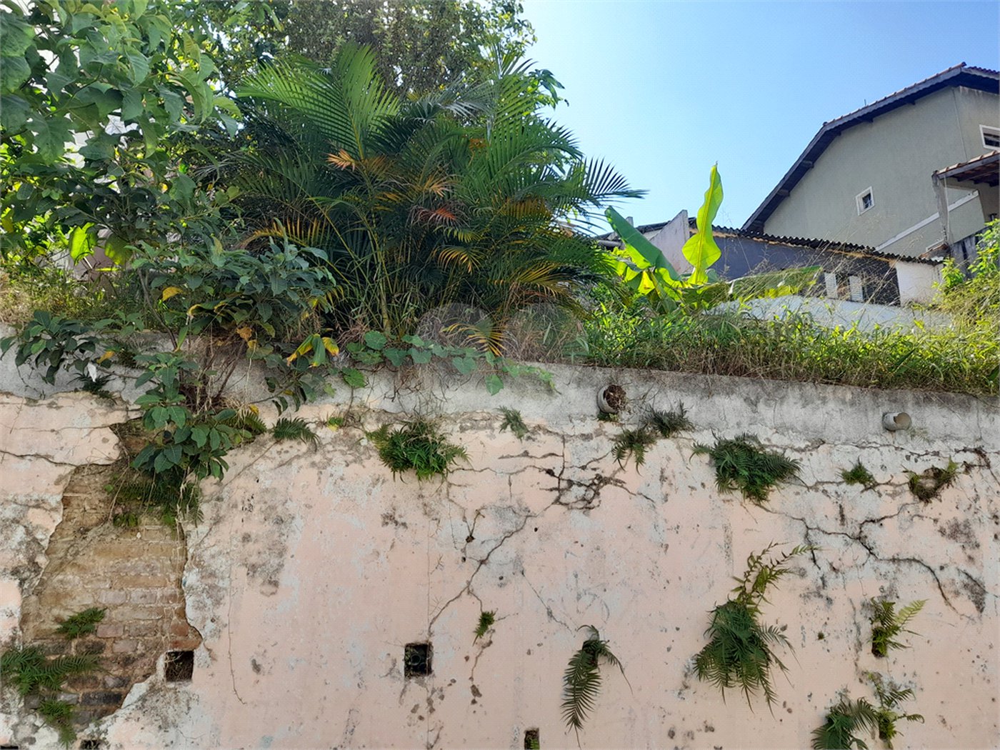 Terreno à venda em Vila Mazzei, São Paulo, SP