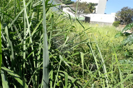 Terreno à venda em Jardim São Bento, São Paulo, SP