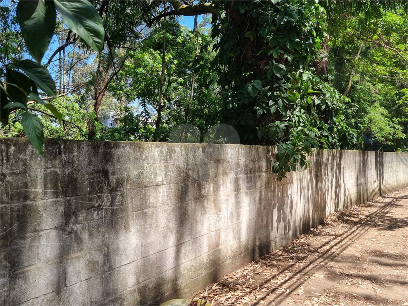 Terreno à venda no condomínio Horto do Ypê, São Paulo - SP