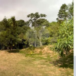 Casa em condomínio à venda com 3 quartos, sendo 2 suítes, no Centro, Bom Jesus dos Perdões, SP