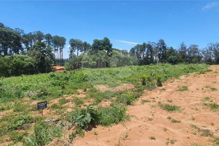 Terreno à venda no condomínio Estäncia Parque de Atibaia, Atibaia - SP