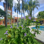 Casa à venda com 3 quartos, sendo 1 suíte, no condomínio Residencial Vale das Laranjeiras, Indaiatuba - SP