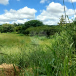Terreno à venda em Abadia, Louveira, SP