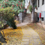 Apartamento à venda com 3 quartos em Jardim América, São Paulo, SP