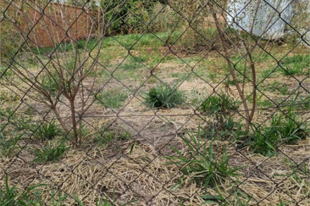 Terreno à Venda no Bairro Samambaia – Ótima Localização Residencial