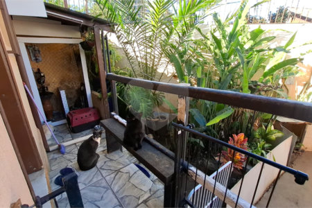 Casa Térrea à venda com 2 quartos em Tucuruvi, São Paulo, SP