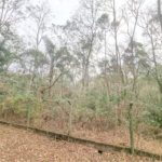 Terreno à venda no condomínio Vale da Santa Fé, Vinhedo - SP