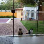 Casa à venda com 6 suítes em Marina, Armação dos Búzios, RJ