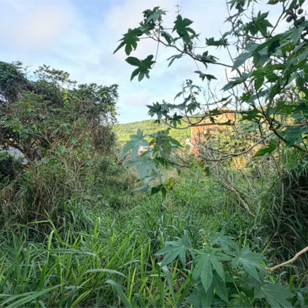 Terreno à venda em Albatroz, Armação dos Búzios, RJ