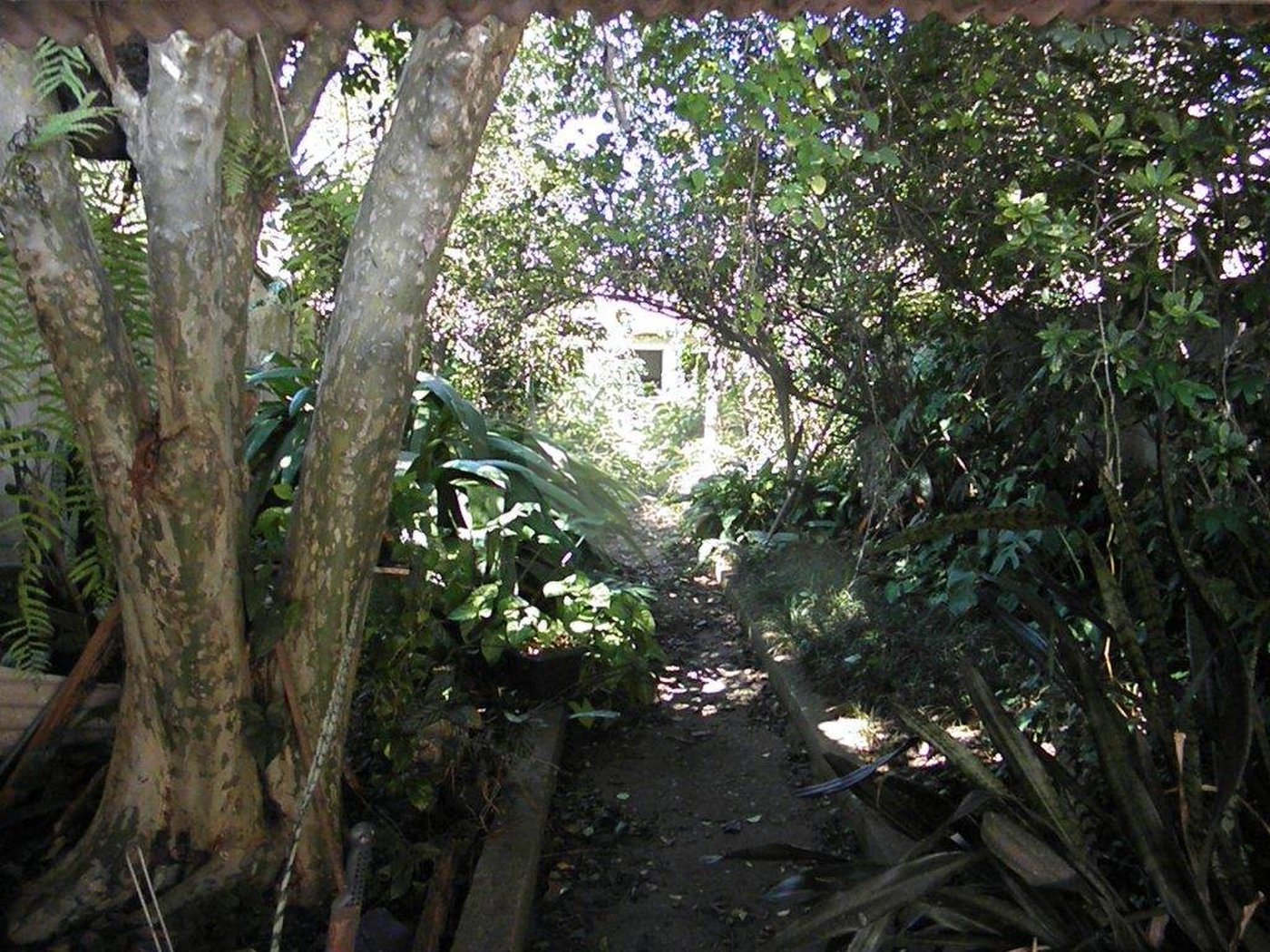 Sobrado à venda com 3 quartos em Santana, São Paulo, SP