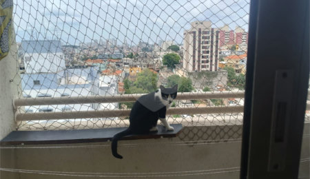 Apartamento à venda com 2 quartos em Imirim, São Paulo, SP