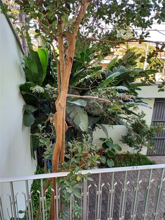 Sobrado à venda com 5 quartos, sendo 2 suítes,  em Tremembé, São Paulo, SP
