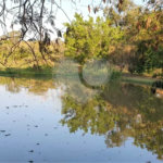 Casa à venda com 3 suítes no condomínio Acmti - Colinas do Mosteiro, Terras de Itaici e Recanto dos Pássaros, Indaiatuba - SP