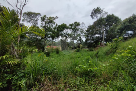 Terreno à venda em Vila Moraes, Mogi das Cruzes, SP
