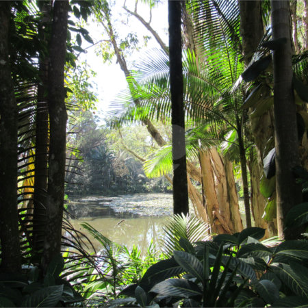 Terreno à venda em Chácara Flora, São Paulo, SP