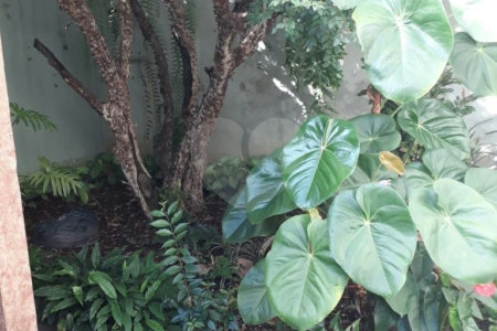 Sobrado à venda com 3 suítes em Santa Teresinha, São Paulo, SP