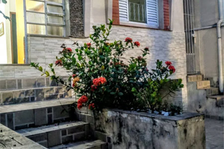 Casa à venda com 4 quartos, sendo 1 suíte, em Vila Cordeiro, São Paulo, SP