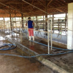 Fazenda à venda com 2 quartos em Canabrava, João Pinheiro, MG