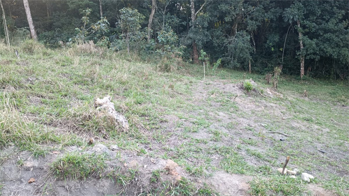 Terreno à venda em Vila Darcy Penteado (mailasqui), São Roque, SP