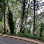 Terreno à venda em Tucuruvi, São Paulo, SP