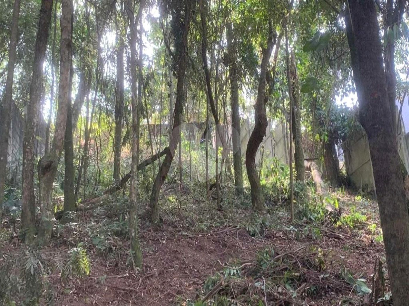 Terreno à venda em Jardim Peri Peri, São Paulo, SP