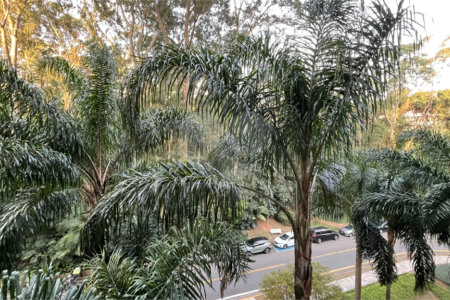 Apartamento à venda com 4 suítes em Vila Suzana, São Paulo, SP