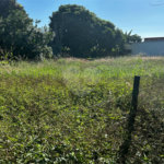 Terreno à venda em Chapadinha, Itapetininga, SP