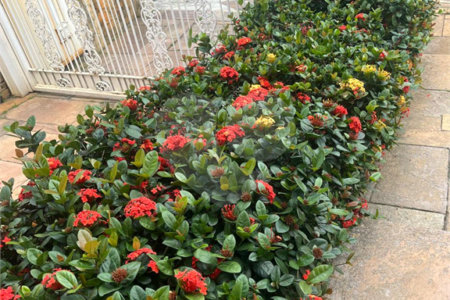 Sobrado à venda com 4 quartos, sendo 1 suíte,  em Jardim Leonor Mendes de Barros, São Paulo, SP