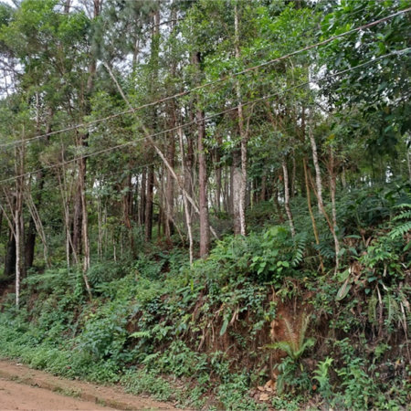 Terreno à venda no Centro (mailasqui), São Roque, SP