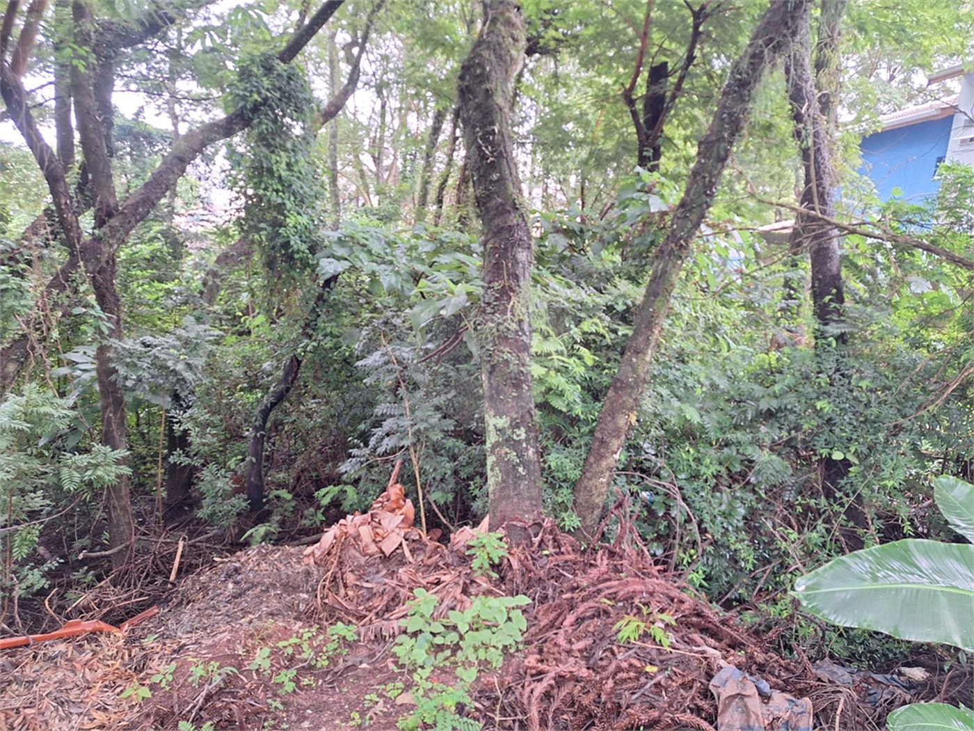 Terreno à venda em Jardim Maristela, Atibaia, SP
