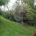 Chácara à venda com 3 quartos, sendo 1 suíte, em Jardim 21 de Março, Louveira, SP