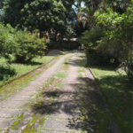 Casa à venda com 3 quartos, sendo 1 suíte, em Serra da Cantareira, Mairiporã, SP