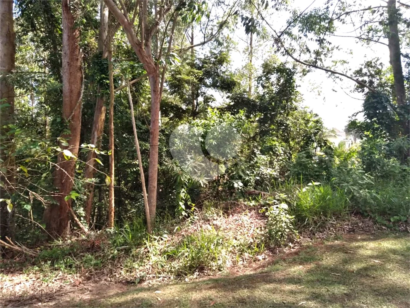 Terreno à venda no condomínio Suíça da Cantareira, Mairiporã - SP