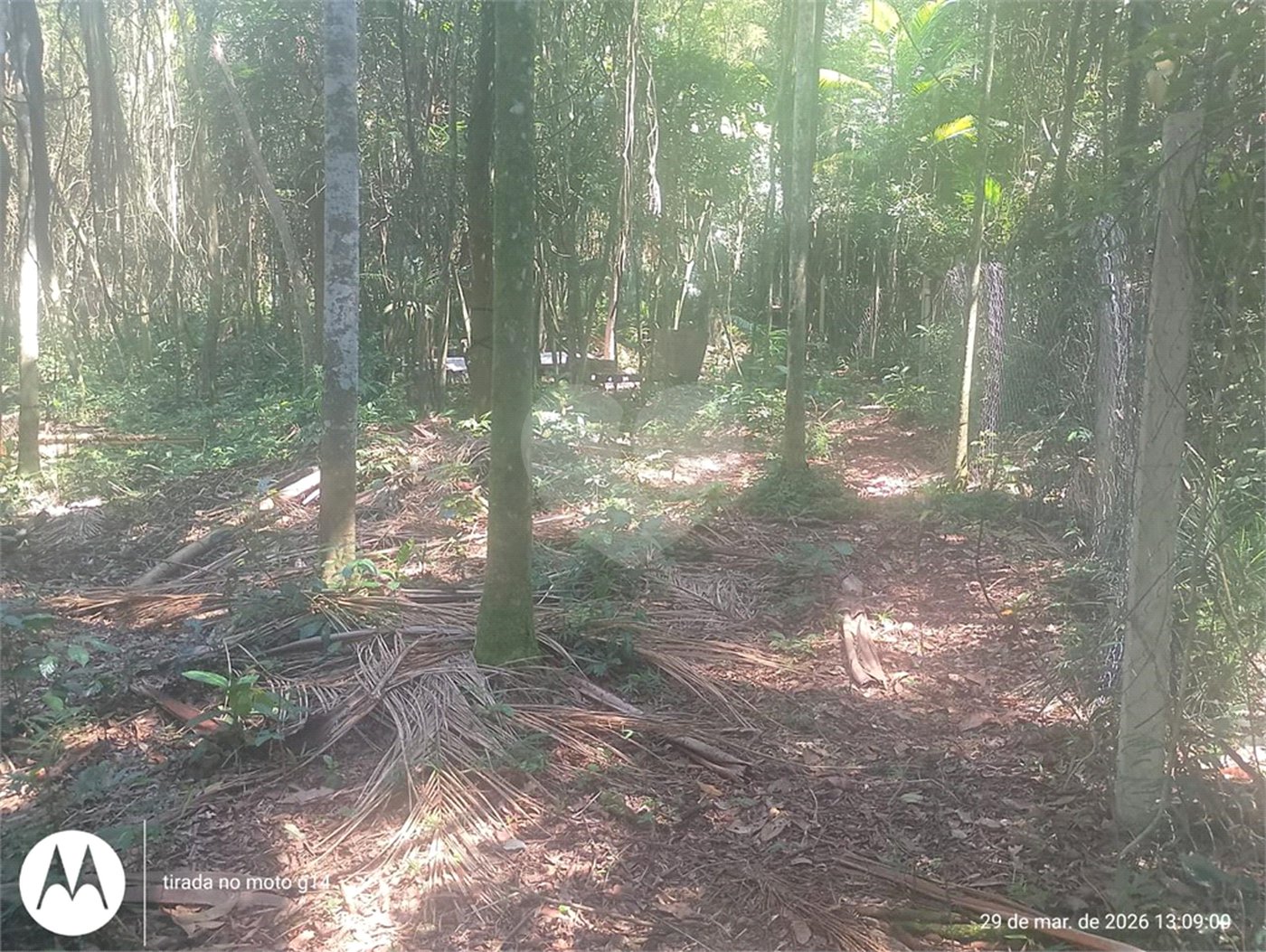 Terreno à venda em Dos Finco, São Bernardo do Campo, SP