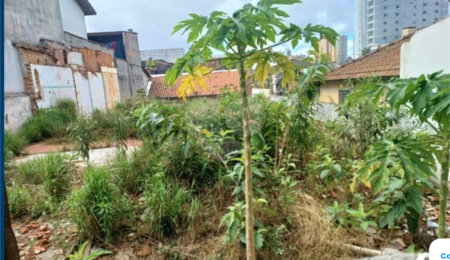 Terreno à venda em Jardim Pilar, Mauá, SP