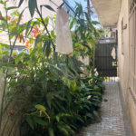 Casa Térrea à venda com 3 quartos em Cidade Domitila, São Paulo, SP