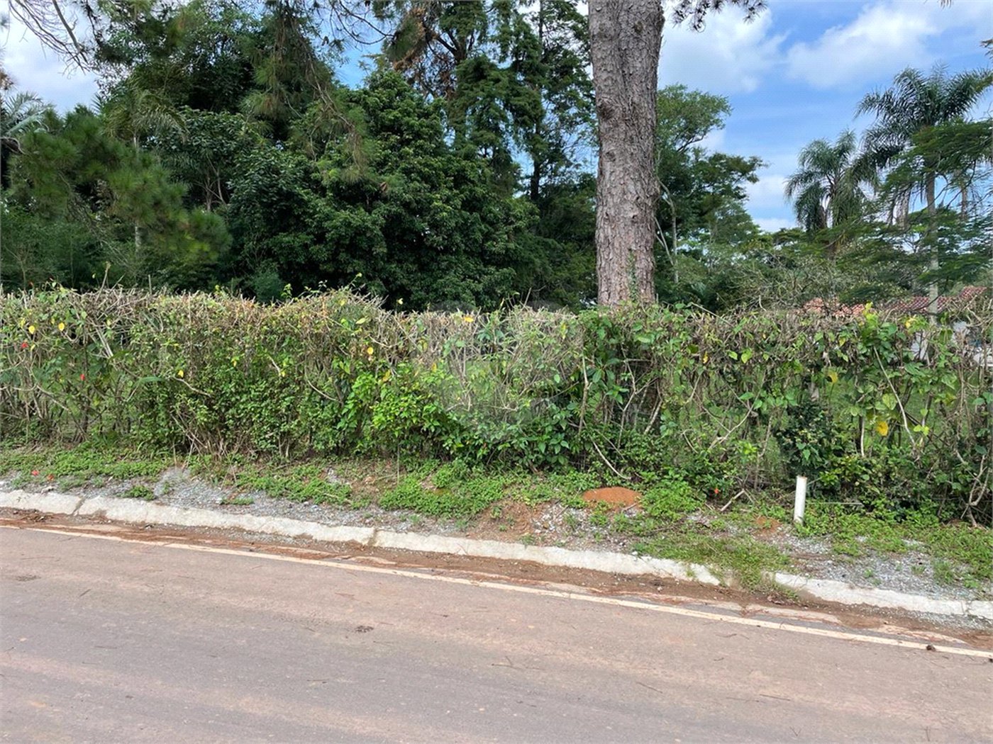 Chácara à venda com 5 quartos em Volta Grande (são João Novo), São Roque, SP