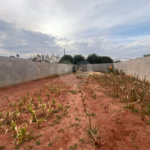 Terreno à venda em Jardim Estoril, Ponta Porã, MS