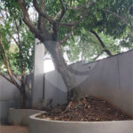 Apartamento à venda com 3 suítes em Bosque da Saúde, São Paulo, SP