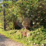 Terreno à venda no condomínio Sausalito, Mairiporã - SP