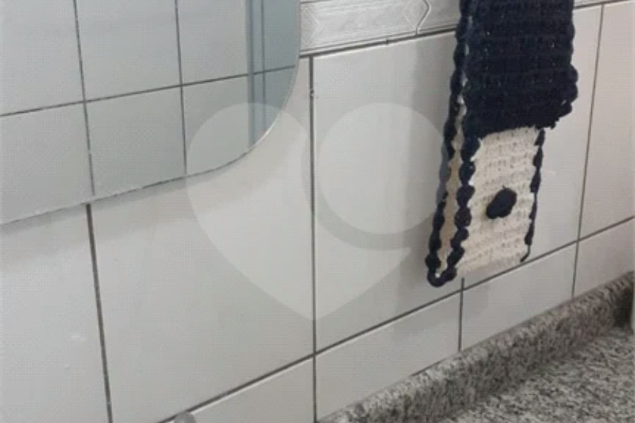 Apartamento à venda com 3 quartos em Vila Nova Cachoeirinha, São Paulo, SP