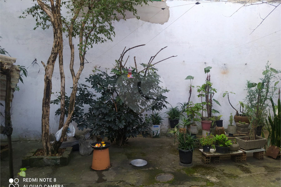Casa Térrea à venda com 3 quartos em Imirim, São Paulo, SP