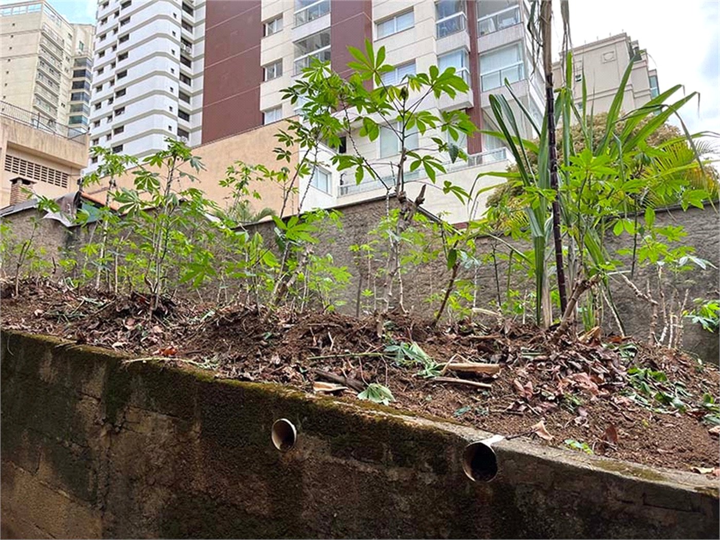 Terreno à venda em Santana, São Paulo, SP