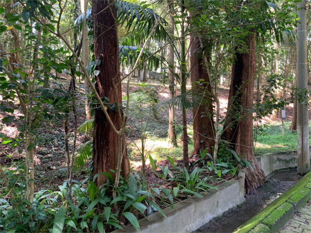 Terreno à venda no condomínio Chácara Flora, São Paulo - SP