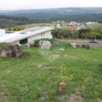 Terreno à venda no condomínio Entreverdes, Campinas - SP