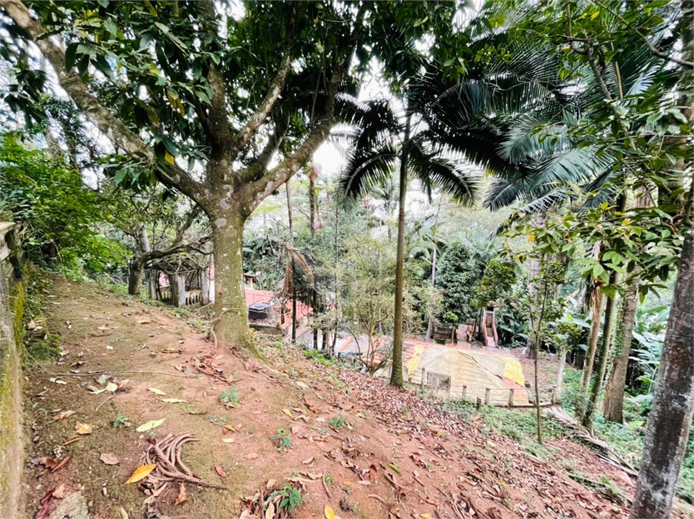 Terreno à venda em Tucuruvi, São Paulo, SP