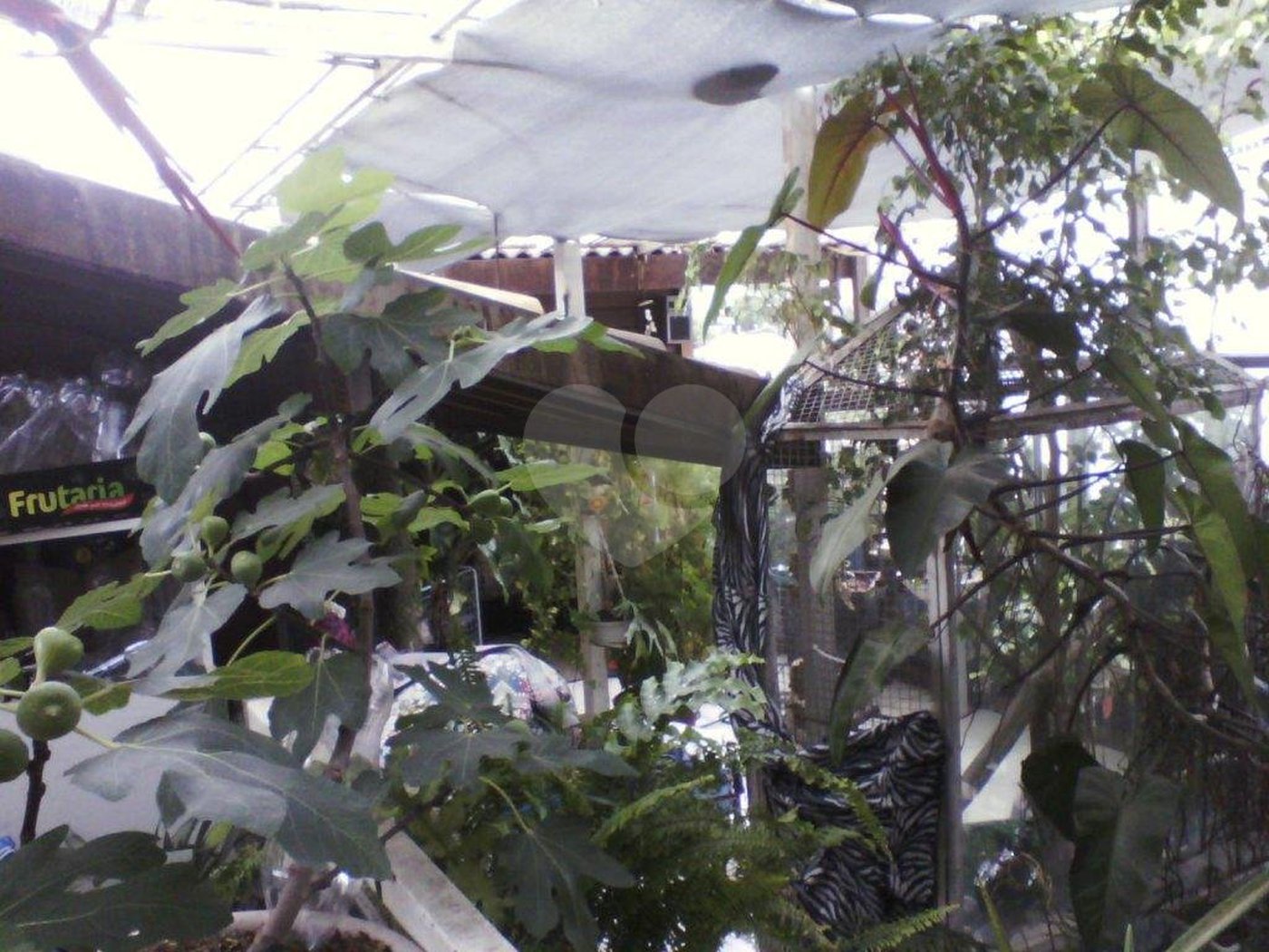 Prédio à venda em Água Fria, São Paulo, SP