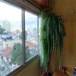 Apartamento à venda com 2 quartos em Tucuruvi, São Paulo, SP