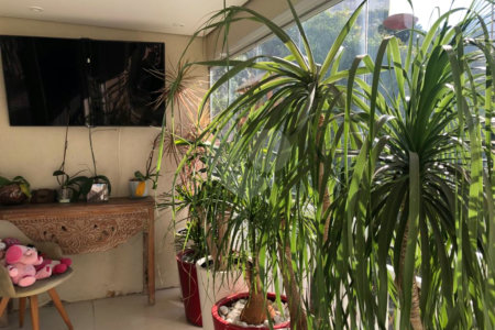 Apartamento à venda com 3 suítes em Lar São Paulo, São Paulo, SP